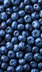 Blueberry Protein Muffin Mix
