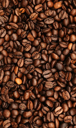 Ultimate 42g Café Latte Protein Shake